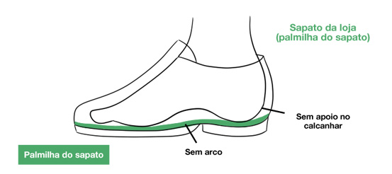 calos 3