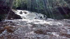 Fotografia da Cachoeira do Sagui.